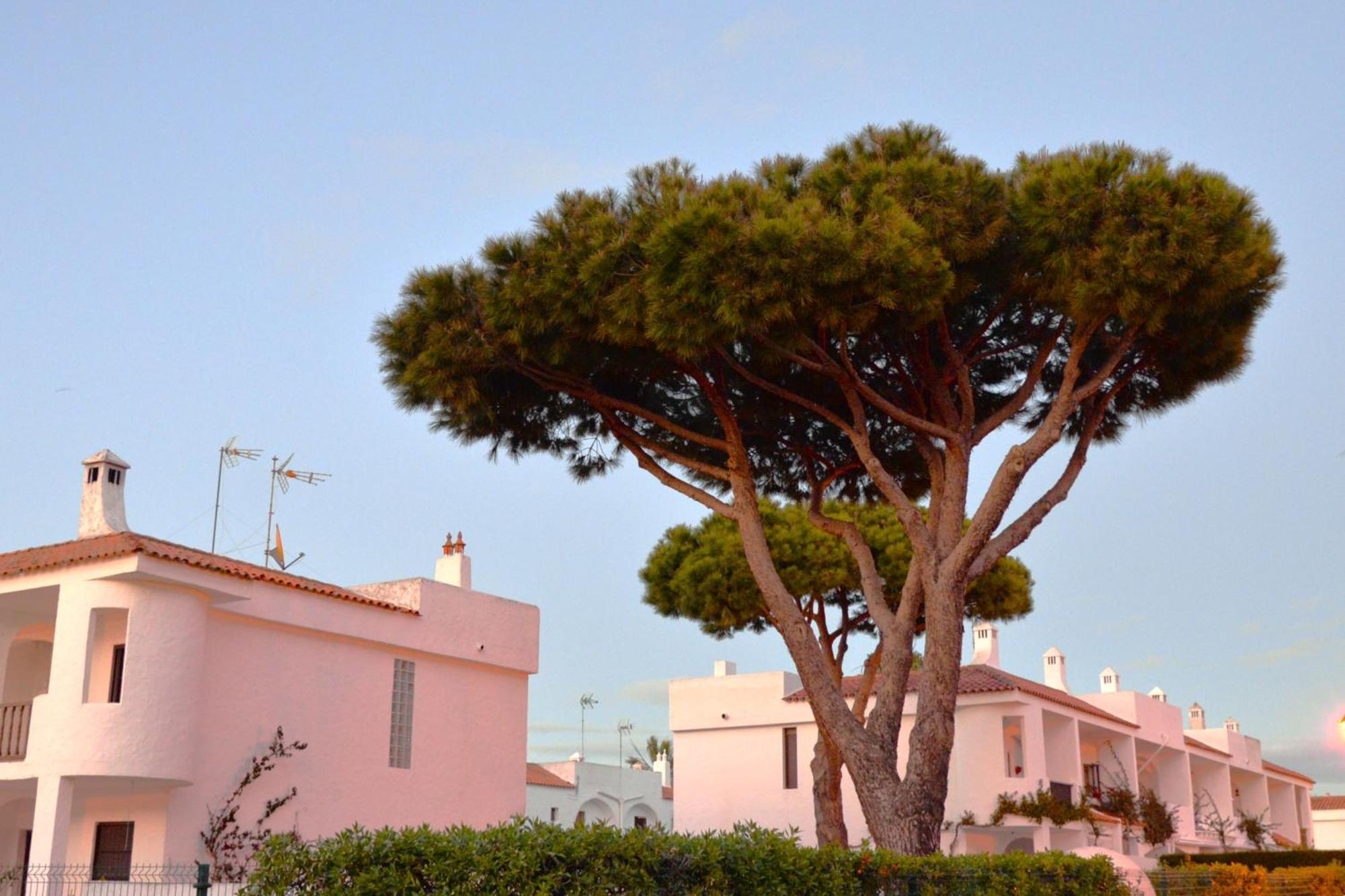 Villa Casa Lea Islantilla Exterior foto