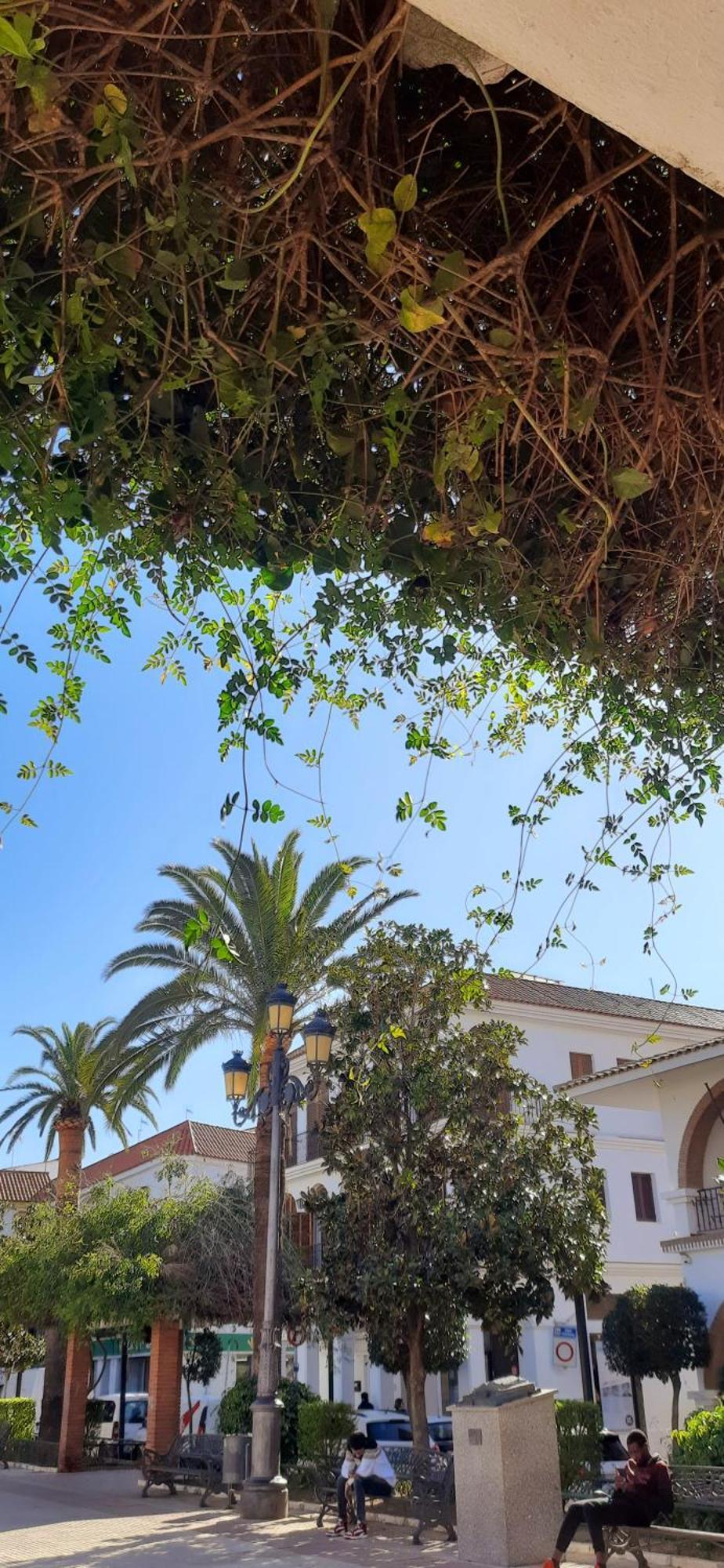 Villa Casa Lea Islantilla Exterior foto